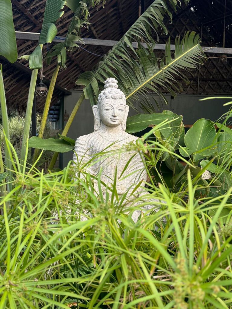 Ananthagiri hills